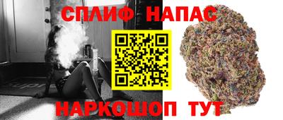 spice Бийск