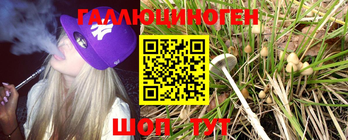 Псилоцибиновые грибы GOLDEN TEACHER Добрянка
