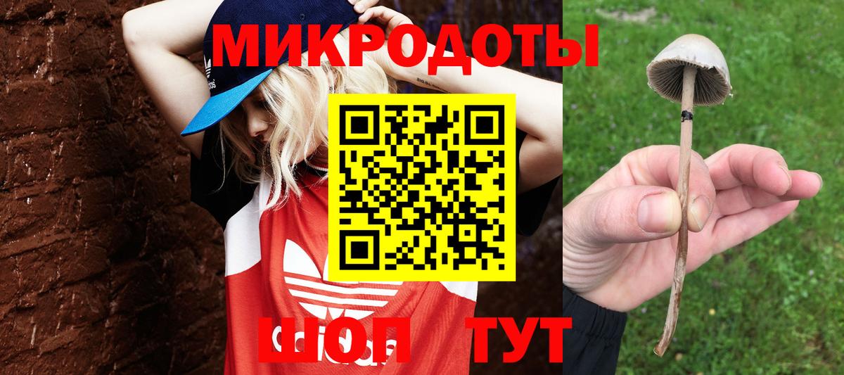 Псилоцибиновые грибы мицелий  купить  цена  Вход с VPN  Добрянка  Псилоцибиновые грибы Cubensis 